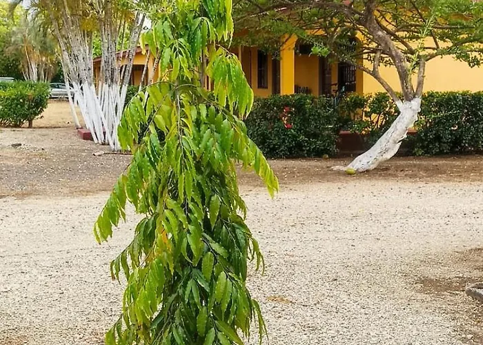 El Paraje